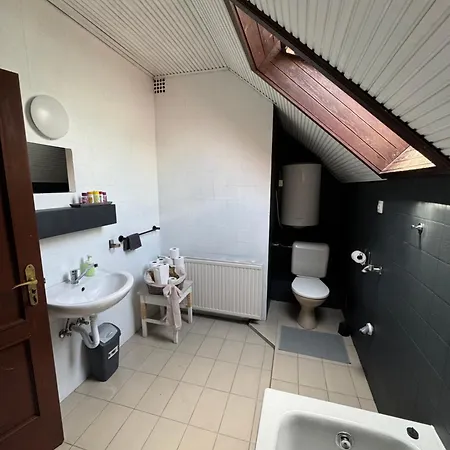 Palota