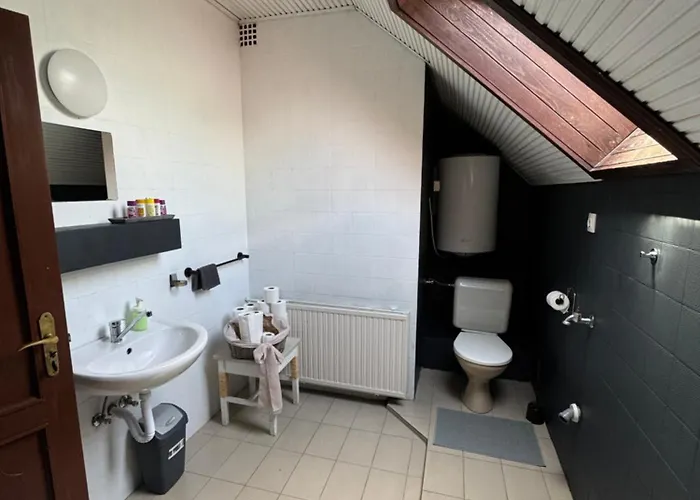 Palota